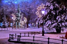 subotica_foto (1)